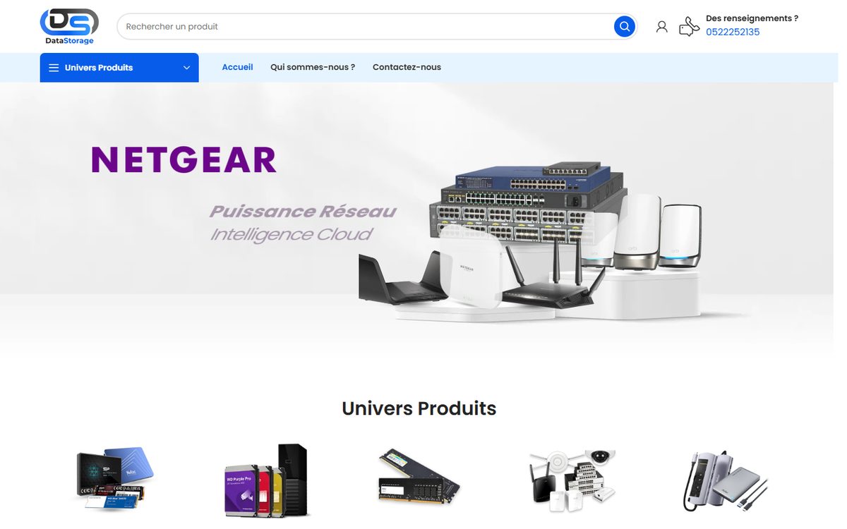 Aper&ccedil;u du site Datastorage, r&eacute;alisation Altentia